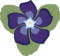 MORGANE PERIWINKLE